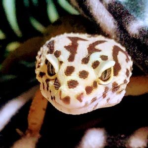 Meet your Posher, Jorden